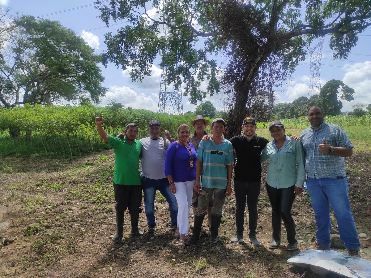 davidjhg's tweet photo. Hace un año caminábamos las tierras de El Caimán buscando soluciones a un conflicto. Hoy celebramos 4 años de la reelección del Pdte. @NicolasMaduro cumpliendo la palabra con los campesinos reubicados en Los Guaruries, demostrando que es posible producir para la patria, en paz. https://t.co/AUUOCqDoLC