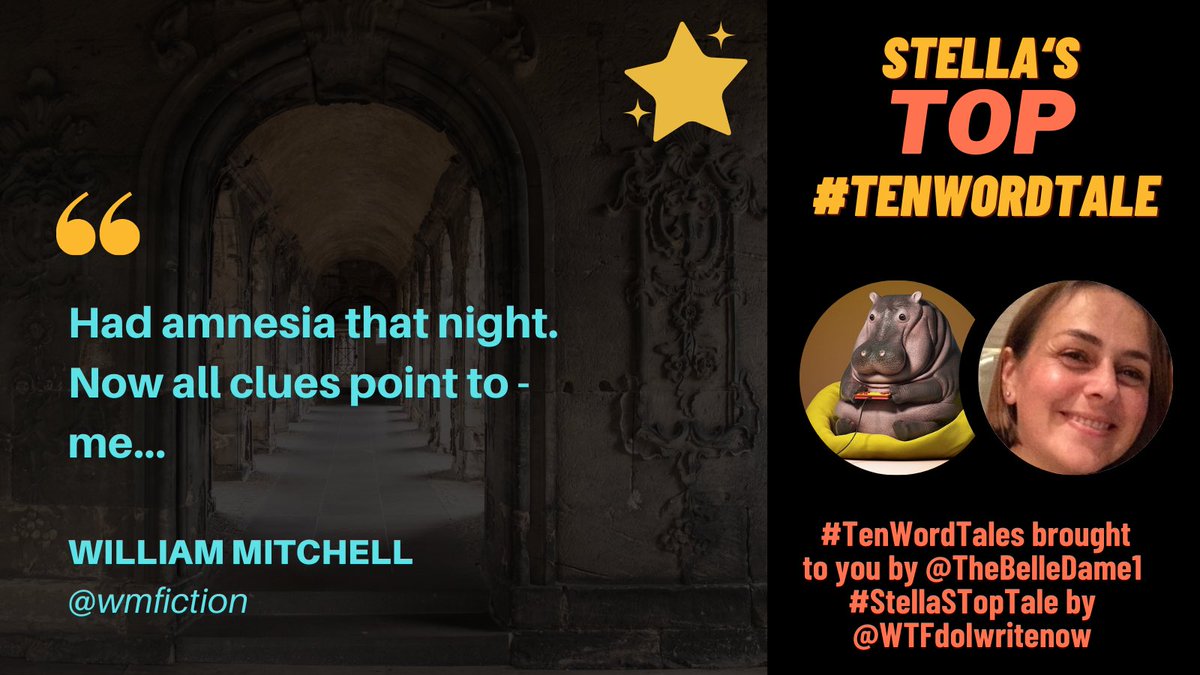 wtfdoiwritenow's tweet photo. Get out your crime solving kits my friends, because someone may have committed a crime in @wmfiction’s winning #StellasTopTale this week, part of @TheBelleDame1’s #10wordtales. And, a special shout-out to his daughter for her killer entry! Bravo! https://t.co/e8zKn1yMw5