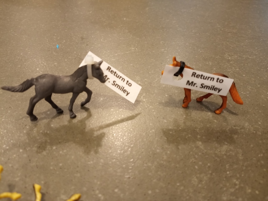 Rice Elementary tweet media