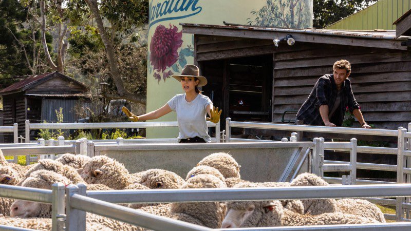 넷플릭스 신작 로맨틱 코미디 영화 <퍼펙트 페어링> 후기/결말♥ #넷플릭스 #퍼펙트페어링 #netflix #perfectpairing #VictoriaJustice #AdamDemos https://m.blog.naver.com...