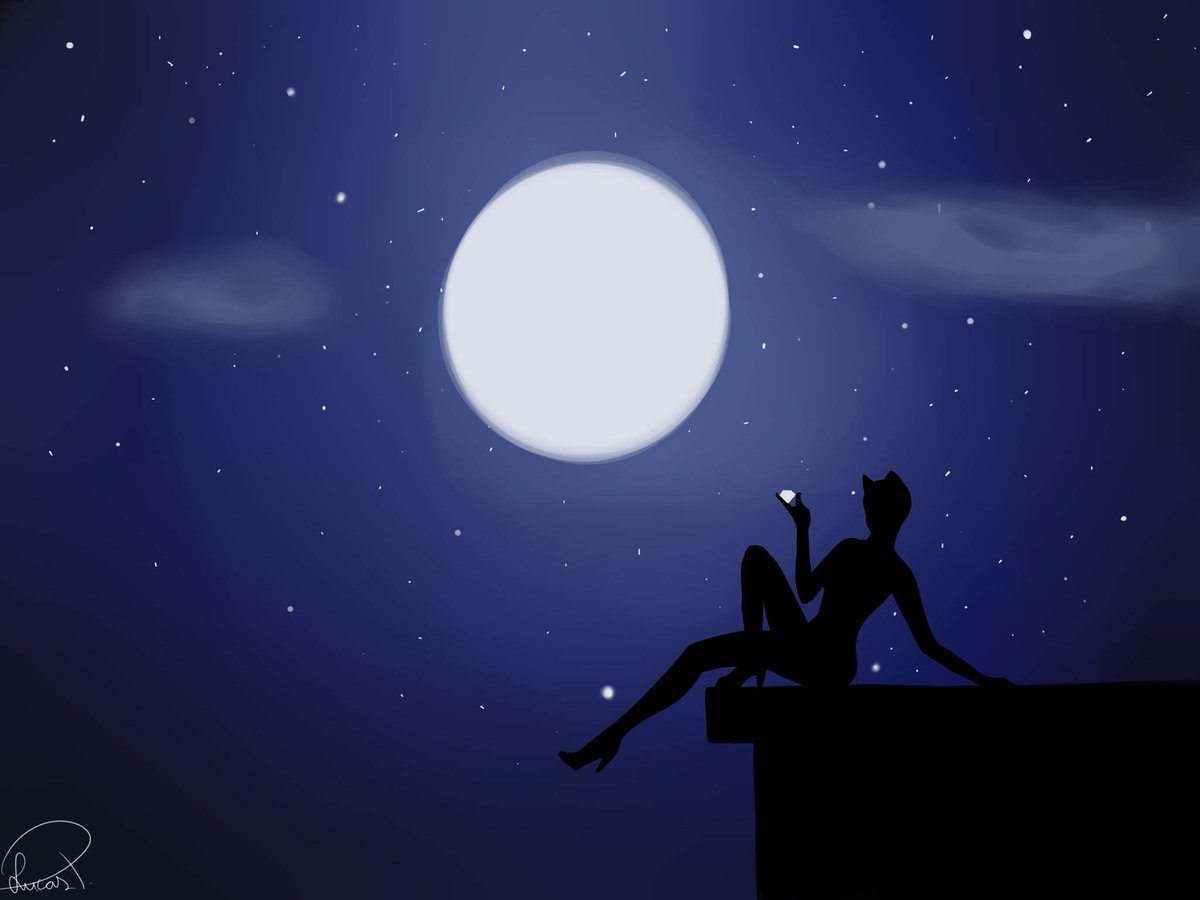 OptimistPrime99's tweet photo. #Catwoman https://t.co/KGY8jU1Aun