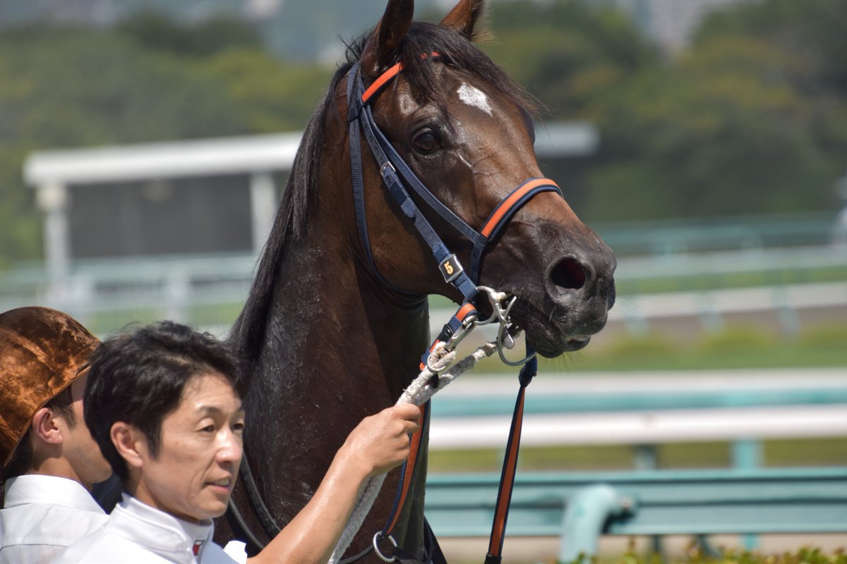 テイオー孫トウカイデュエル

３着と頑張りました🙌

佐賀での初勝利（３勝目）
待ってるからね❣ 