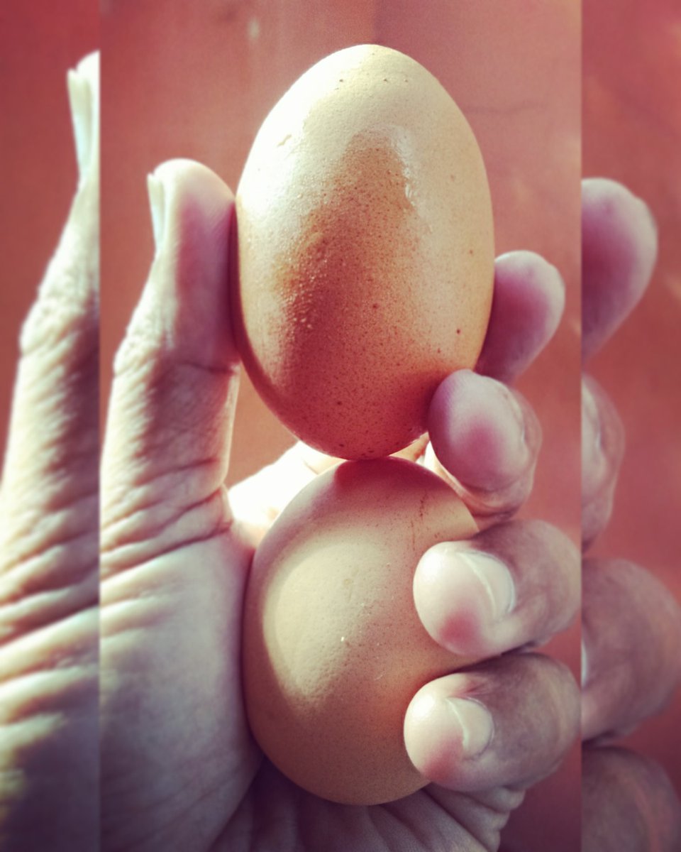 Ardyandaf's tweet photo. Selamat pagi semua... Dah pada sarapan belum kalau belum... Yuk kita sarapan dengan dua telor dan satu pisang, biar tambah semangat.... https://t.co/E0IBcn5cmS