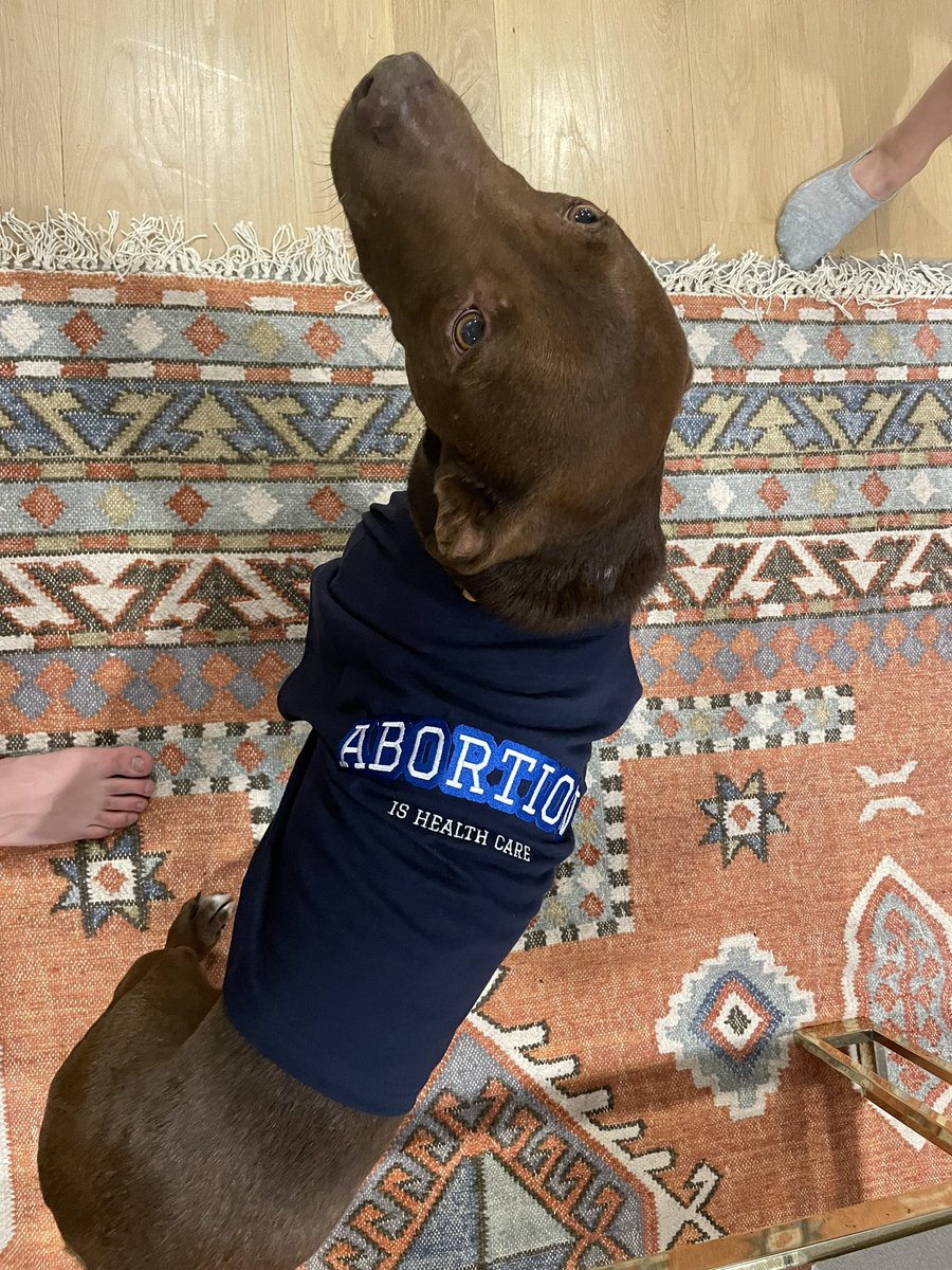 CalebFrankel's tweet photo. Even dogs knowβ¦ Its just Pawmon sense π. #AbortionIsHealthcare #RoeVWade #dogsforchoice #DogsofTwittter @ShannaRifkin https://t.co/MjZRAV4lZs