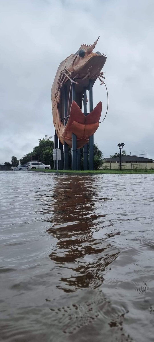 ninacherie70's tweet photo. @ScottMorrisonMP ABANDONED #Lismore #Ballina #Cabbo #Coraki #Wardell #Floods #Fires #LNPDeathCult
#LiarFromTheShire #IDontThinkIKnow #AlboForPM  #ScottyTheCompletePsycho #ScottyThePathologicalLiar #ScottyTheRapistProtector #ScottyTheBigot #lnpBigots  #ScottyTheMisogynist #ICAC #Australia #auspol https://t.co/feRHHQRT9M