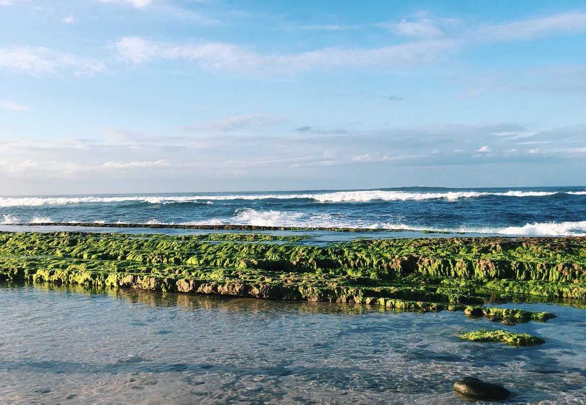 HAWAI'I Magazine tweet media