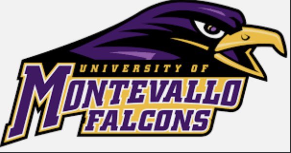 ForceEliteMizuno-18A tweet media