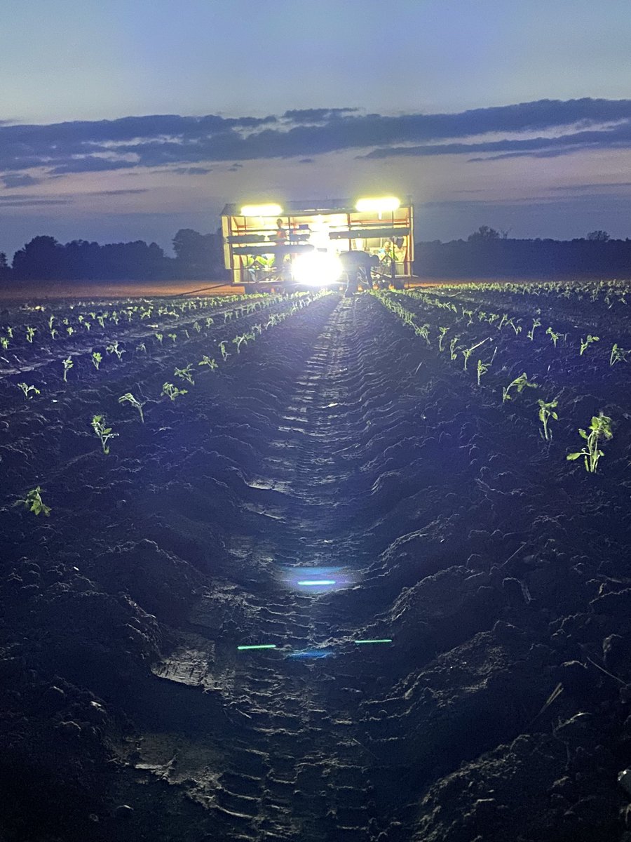 jordan_apers's tweet photo. Perfect night to keep the 🍅 planter rolling. Wouldn’t mind some of this during the day though. #pluggingaway #ontag #nightshift https://t.co/HaSpYZ74ce