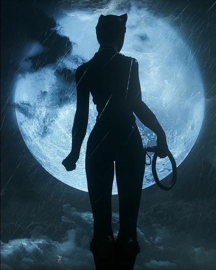 OptimistPrime99's tweet photo. #Catwoman https://t.co/CYgBGuILlk