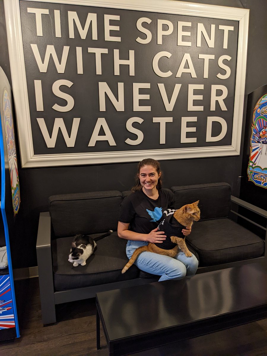 Megan 💙 tweet media