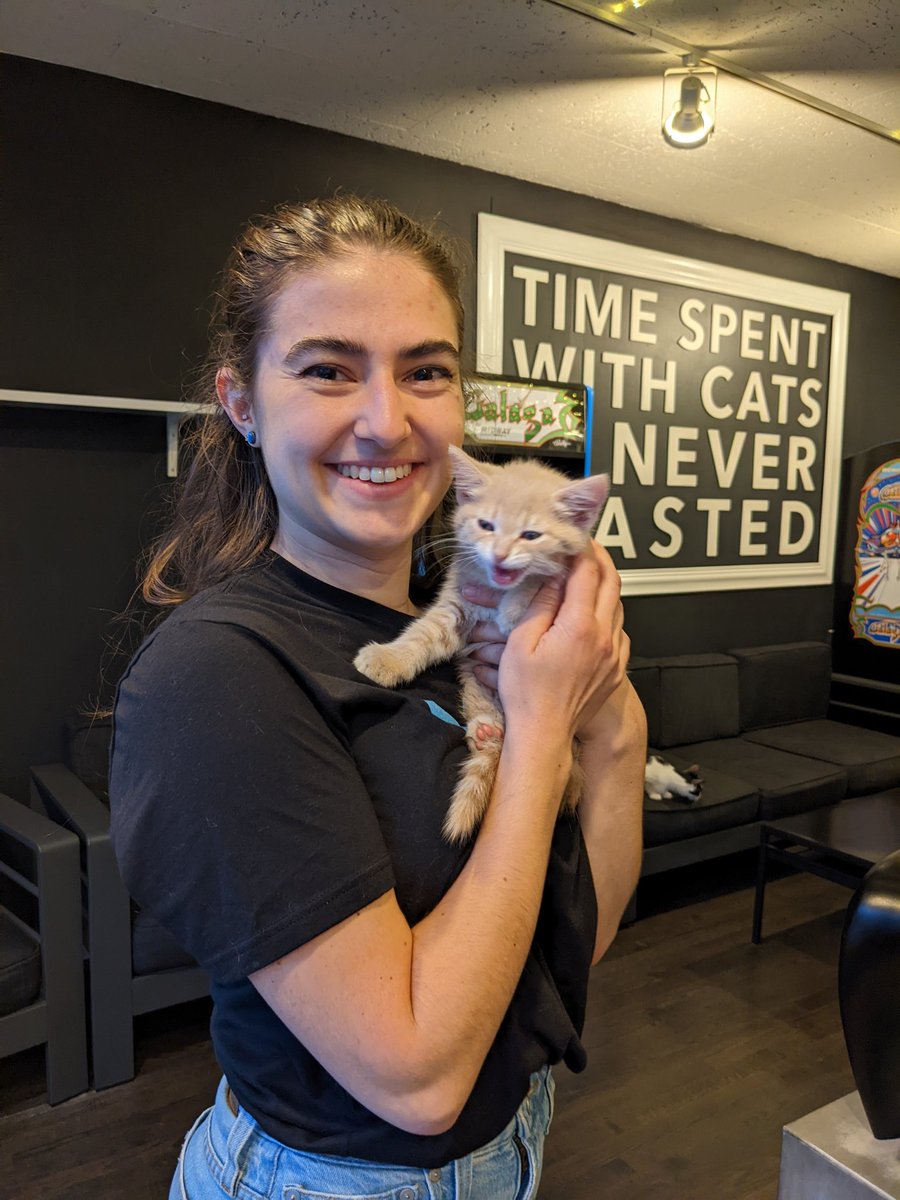 Megan 💙 tweet media