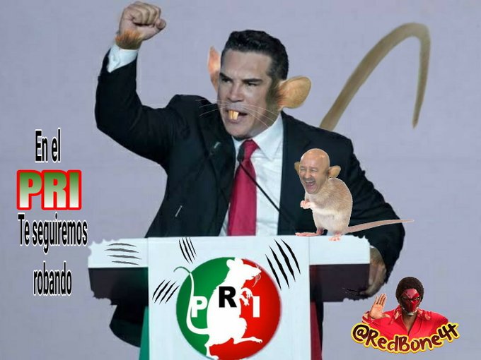 JosEstala2's tweet photo. @Mike_Oviedo No soy RATA,no soy RATA,no soy RATA! https://t.co/12Bqdm5CNu
