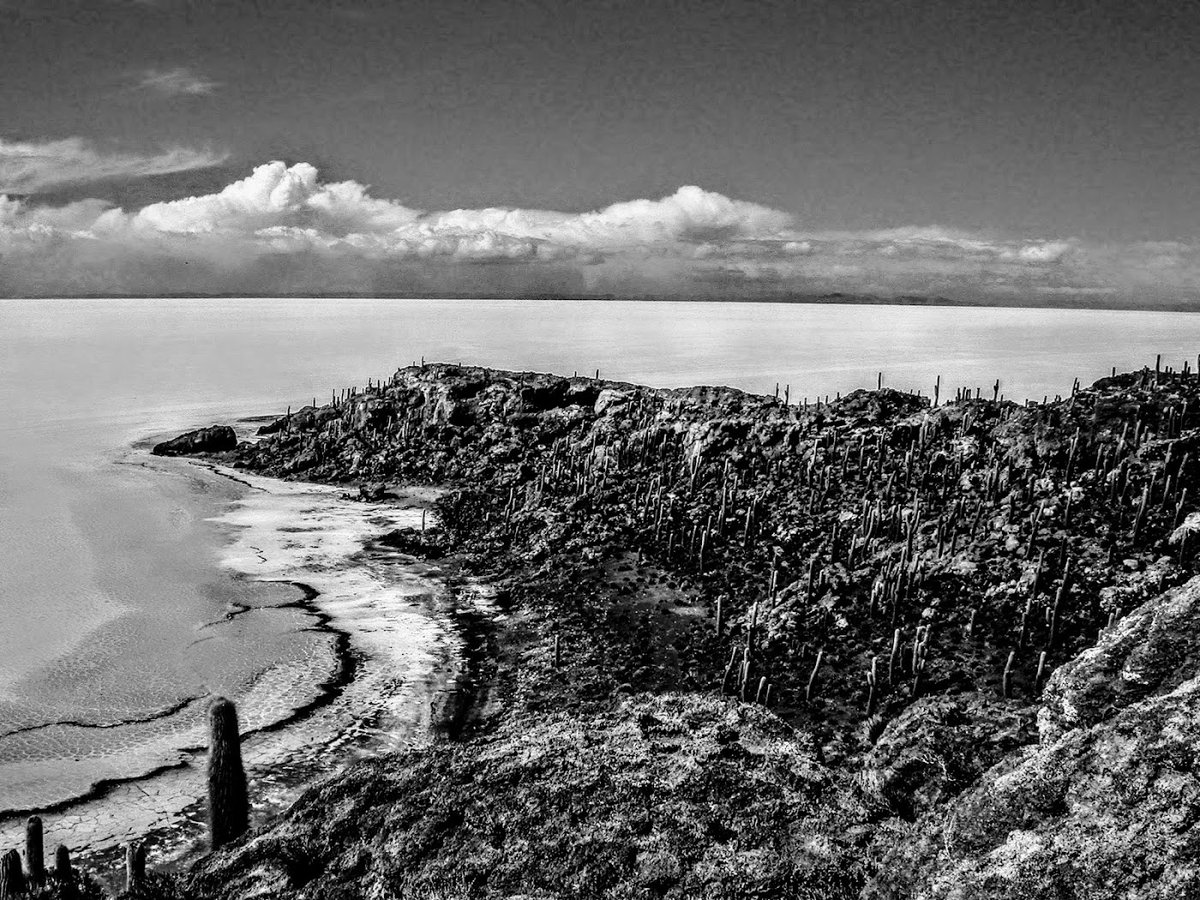 oceanairnft's tweet photo. Finally uploaded my #OceanAir exhibition. Follow for a chance to win one of my 50 images #NFTcollection #NFTCommunity #NFTCommunities #NFTArtist #Cryptoartist #DigitalArtist #NFTDrop #NFTDrop https://t.co/bolCa54gd9 https://t.co/frBantibGR