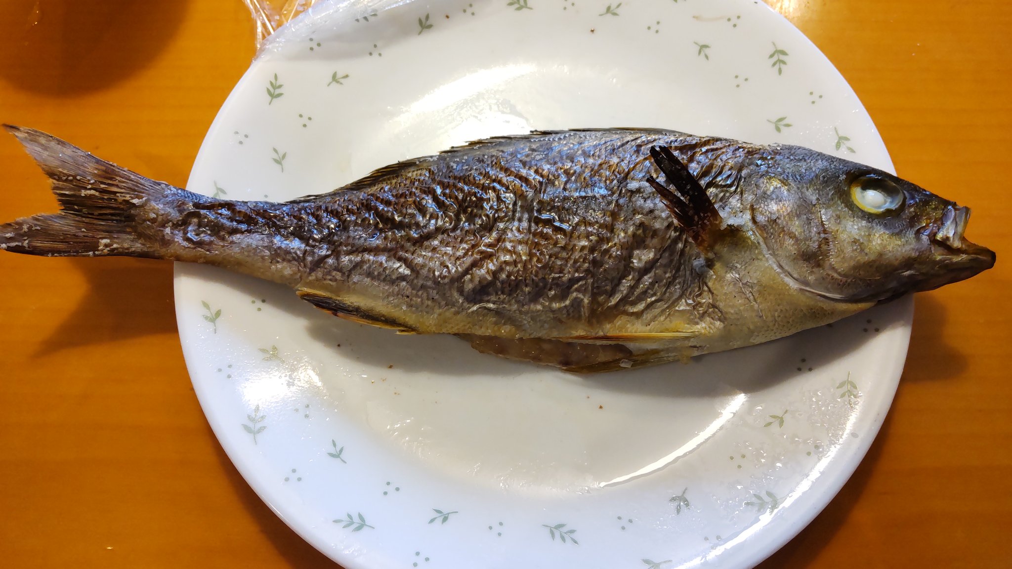 تويتر タカ على تويتر イサキの塩焼き 美味しい T Co Iyfhvlags2 تويتر タカ على تويتر イサキの塩焼き 美味しい T Co Iyfhvlags2