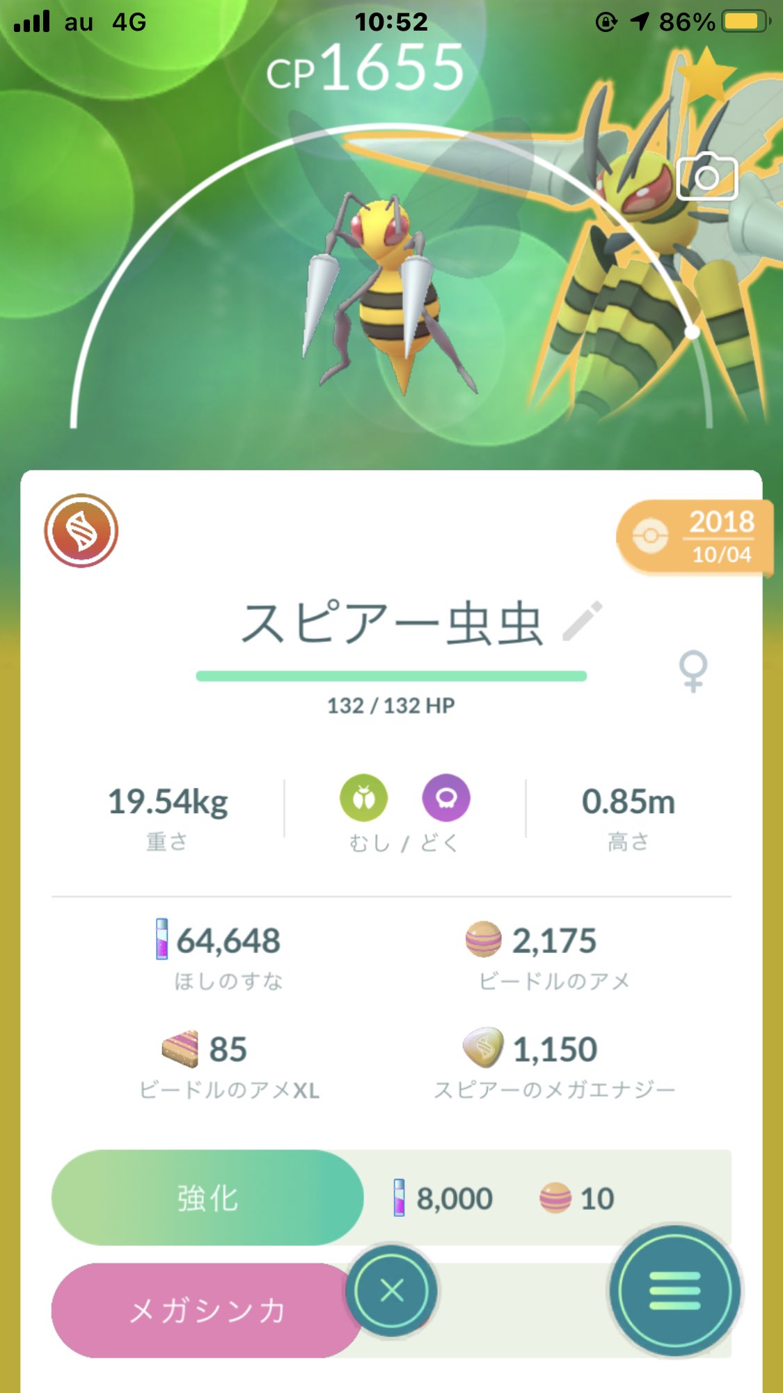 メガスピアー Twitter Search Twitter