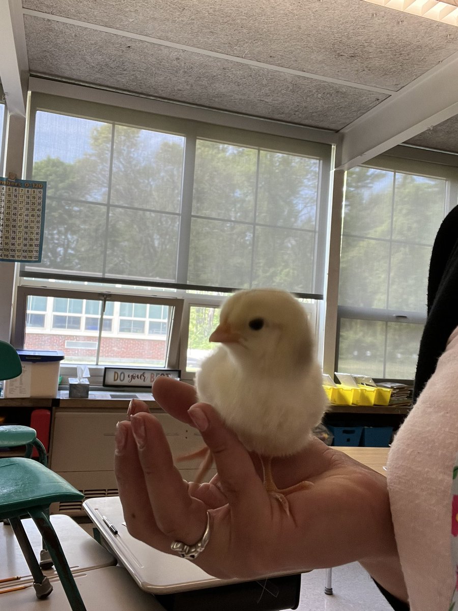 Paige Slachta tweet media