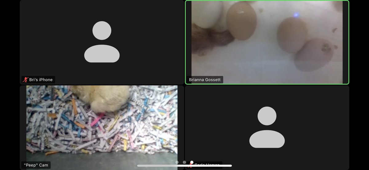 gossettsclass tweet media