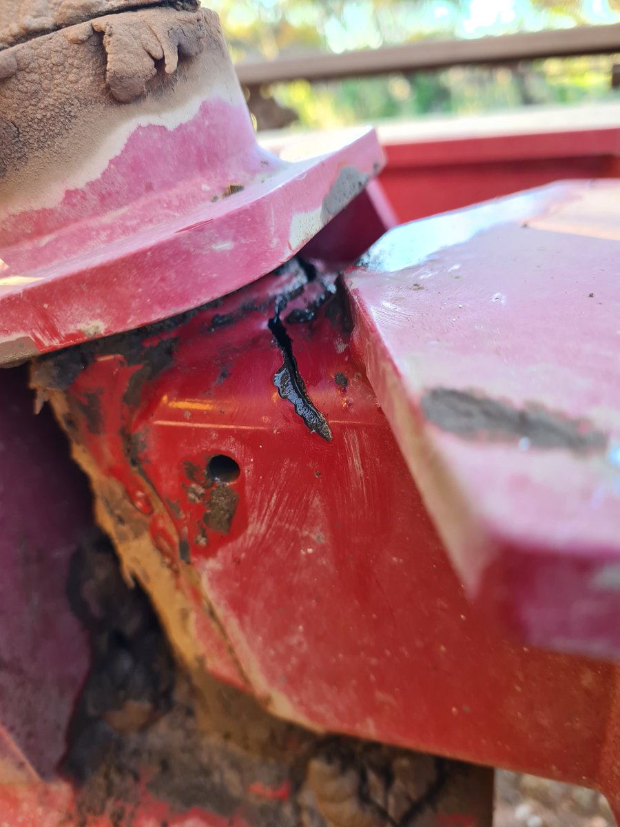 James Davey tweet media