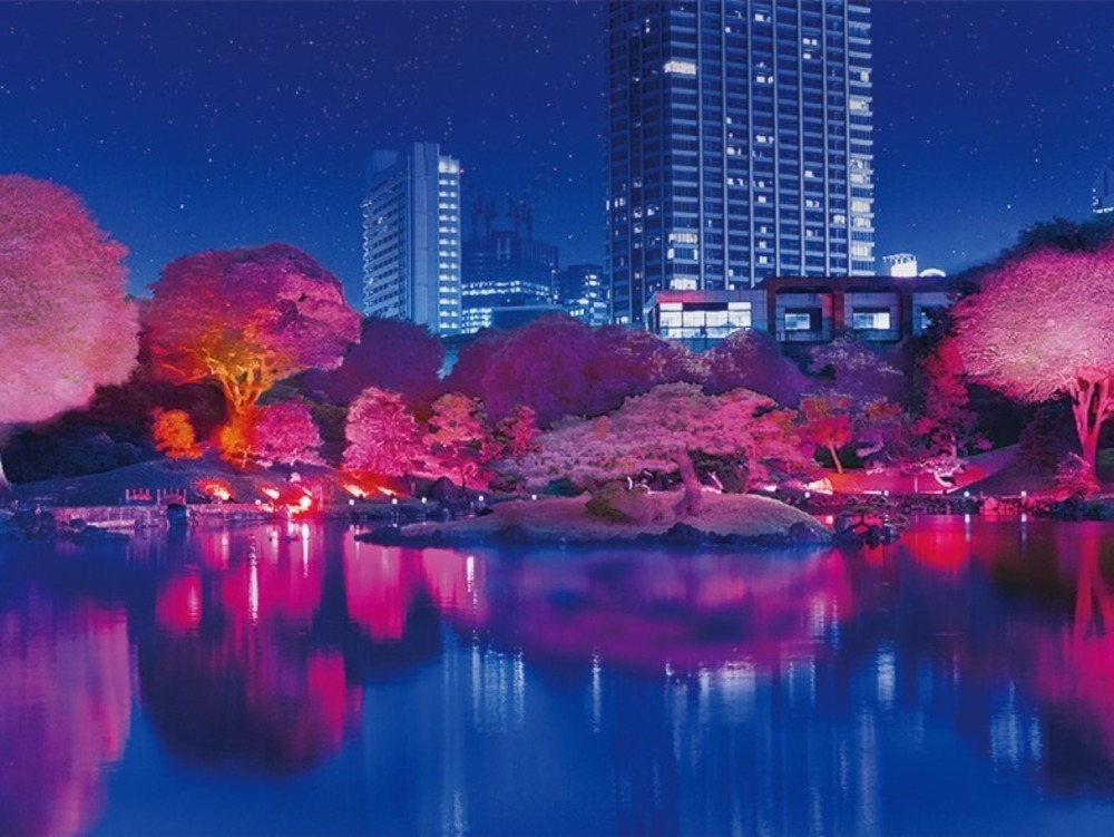 fashionpressnet's tweet photo. 旧芝離宮恩賜庭園、幻想的な“光の桜”が照らすライトアップイベント「旧芝離宮夜会」 - https://t.co/CBiRKFMTv0 https://t.co/E6QKIftpKM