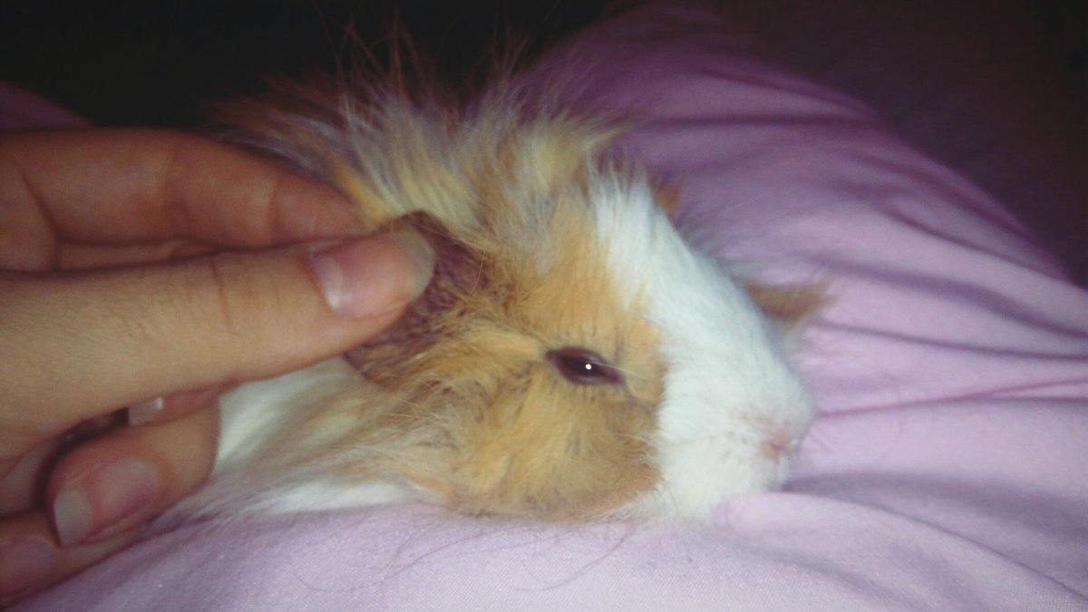 Dün gibi ama çoktan 1 sene olmuş sen gideli..