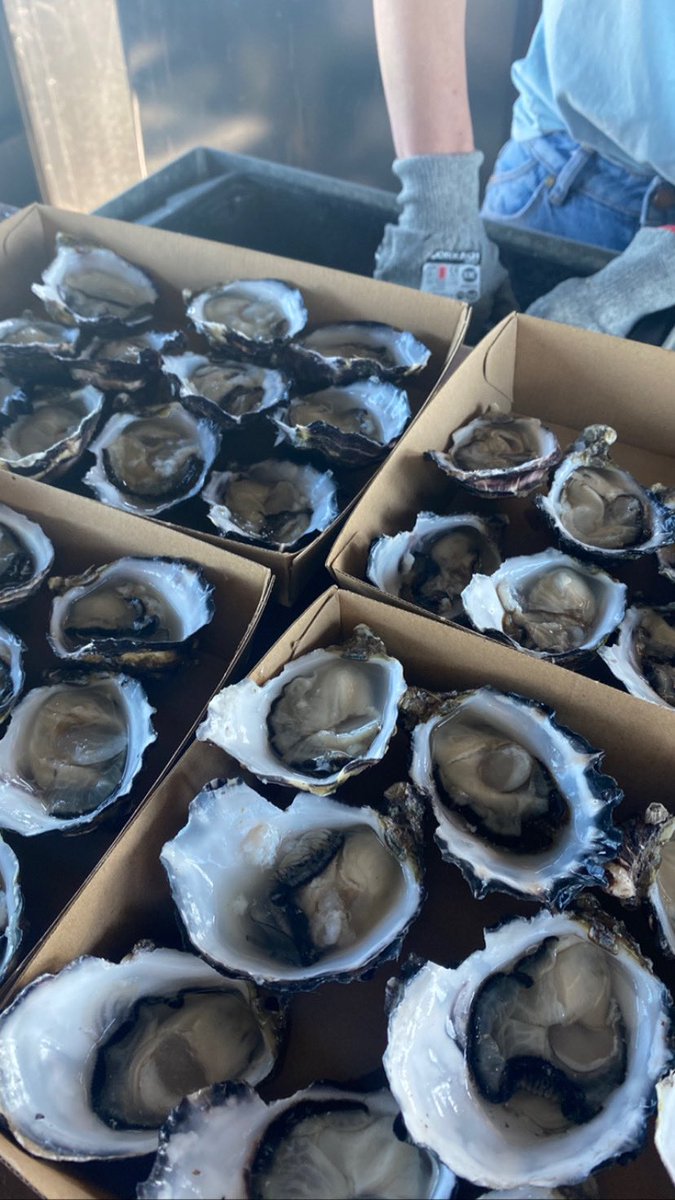 Madeleine Smith tweet media