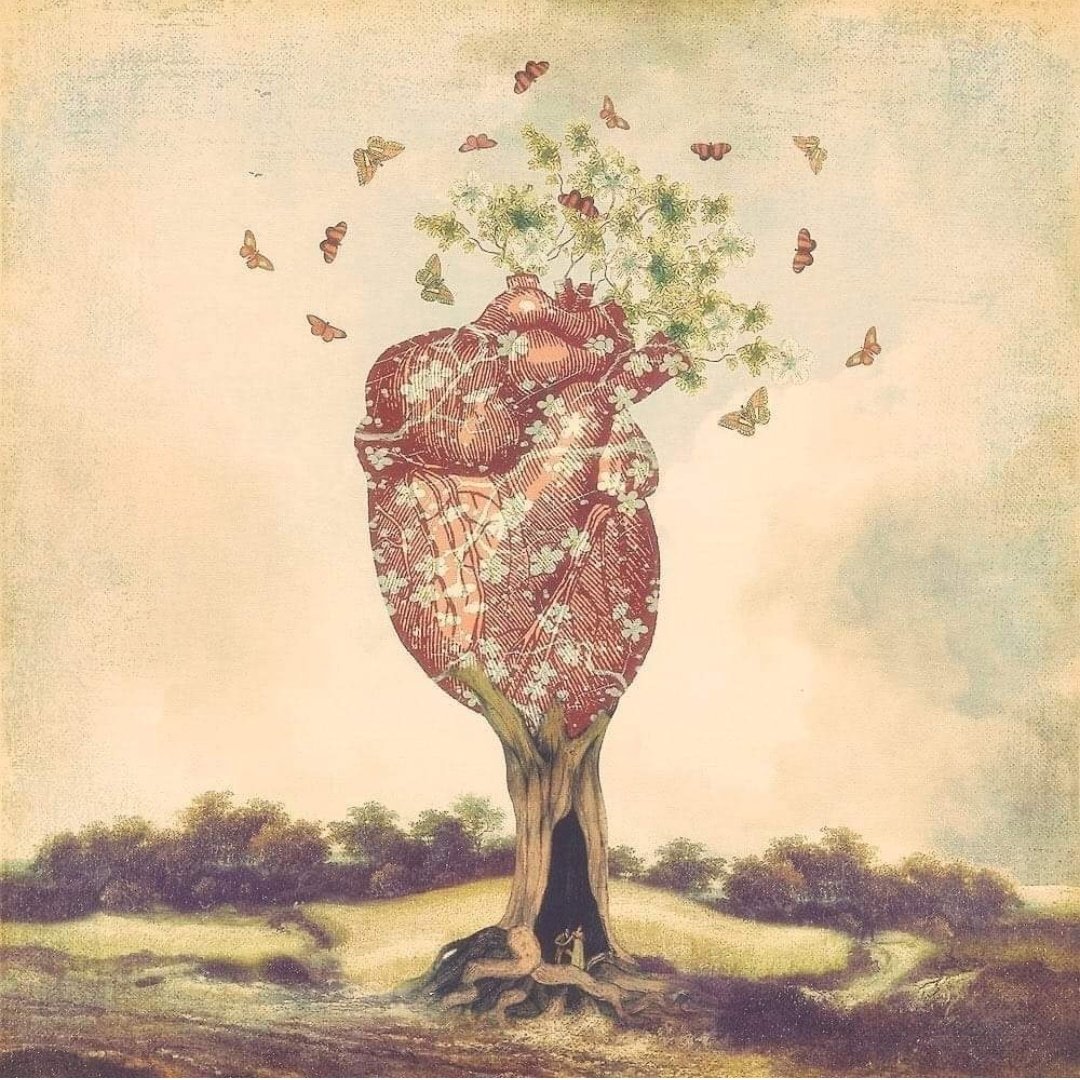 "من بنى لنا في القلب بيتاً،،🌾 أقمنا له بالروح وطنا، ومن دنا إلينا بكلمة،☘️ سخّرنا من أجله أبجديتنا.. ومن حمَلنا في قلبه، حملناه على أعناق قلوبنا والأرواح"

#صباح_الخير🌾☘️🌿