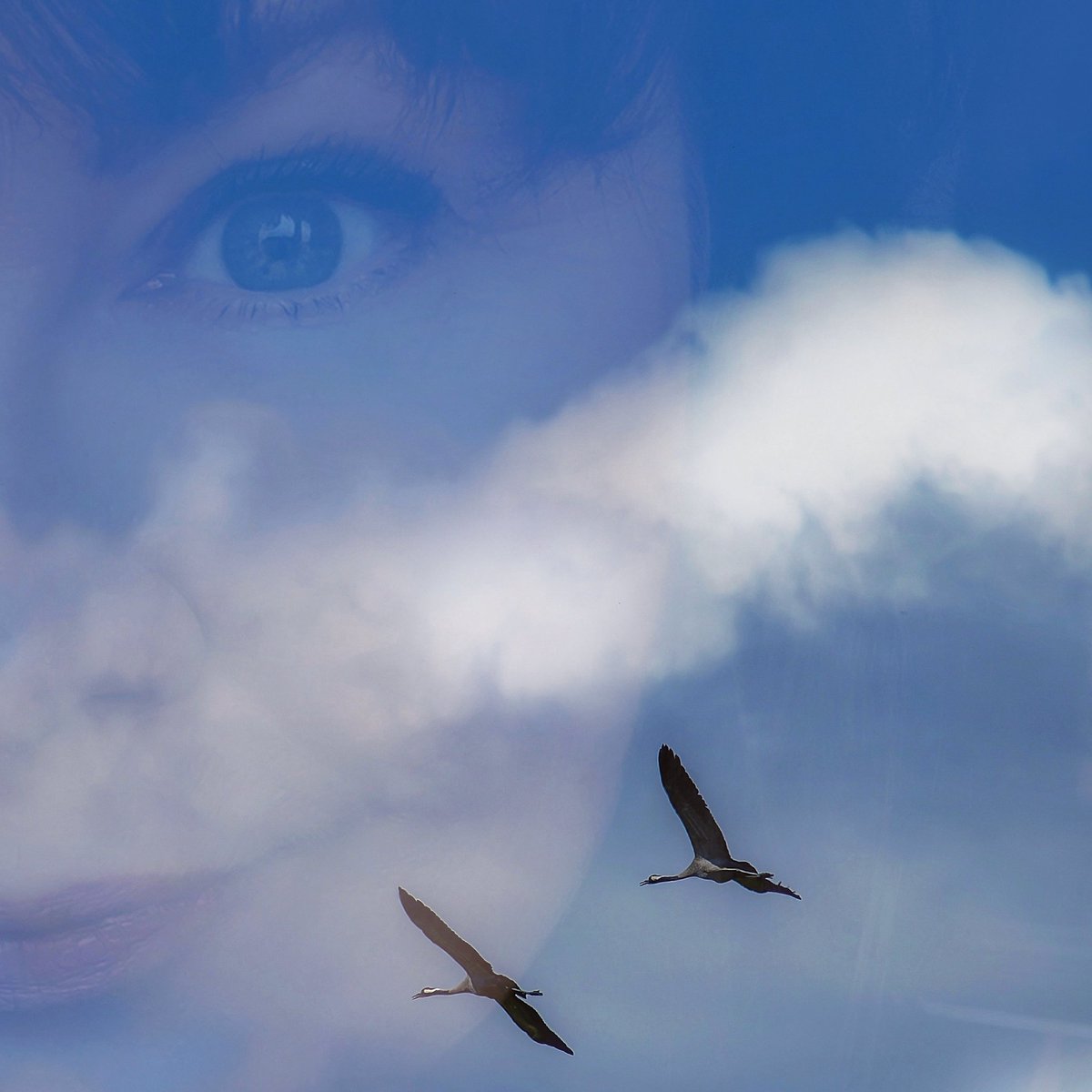 DobrymOkiem tweet media