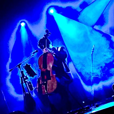 skipvon's tweet image. #NewProfilePic