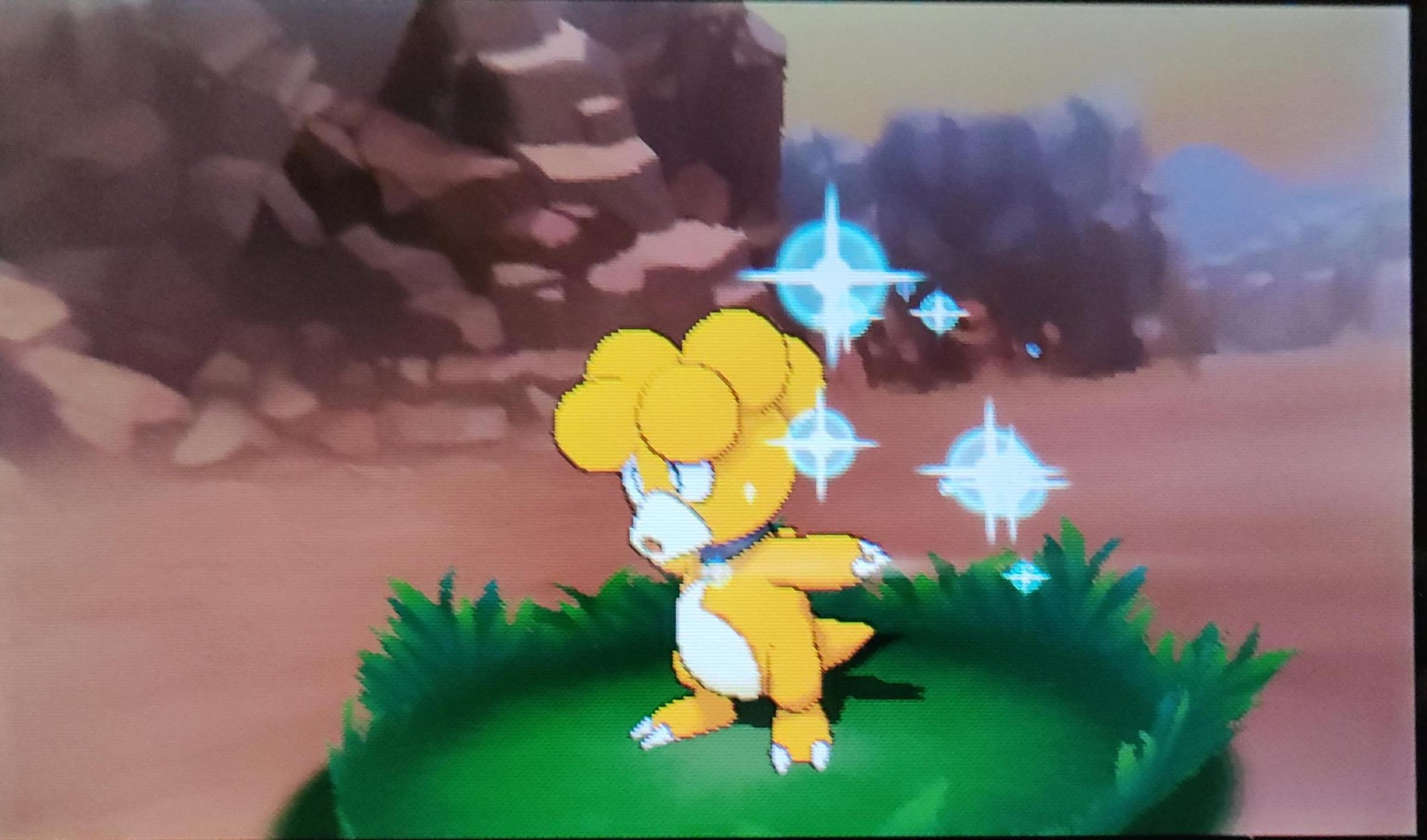 あるめい ひがん 撮りだめてた分の色の子紹介です ポケモンorasのマボロシ山の色違いエレキッドとブビィ どっちもサーチレベル0前後できてくれた ブビィは分かるけど エレキッド きみほんとに色違いか T Co