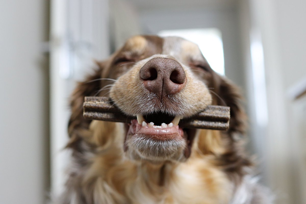 Chester & Crumble tweet media