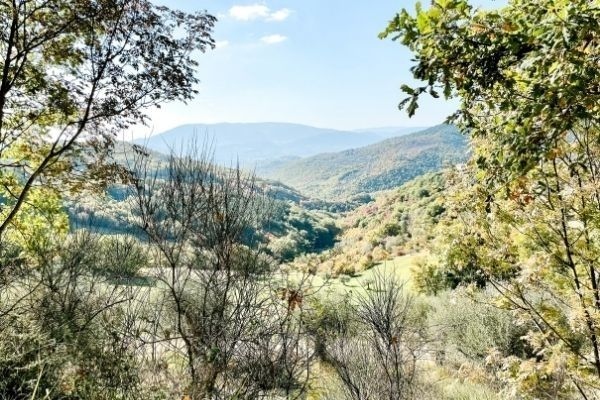 leap_my's tweet image. A few months ago I went on a Gypet Yoga Retreat in Italy in the Umbria Region! It was one of the best experiences of my life. 

Have you ever done a Gypset Yoga Retreat? 

#myflyingleap #travel #italy