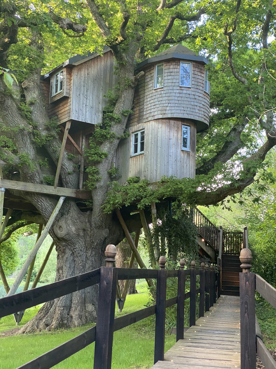 Happy birthday to me - I’m sleeping in a tree!