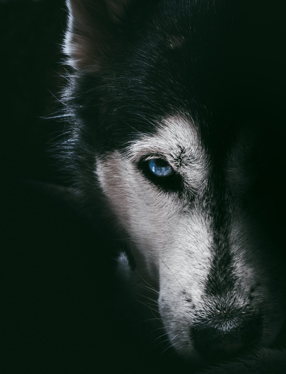 Denis Helbig tweet media