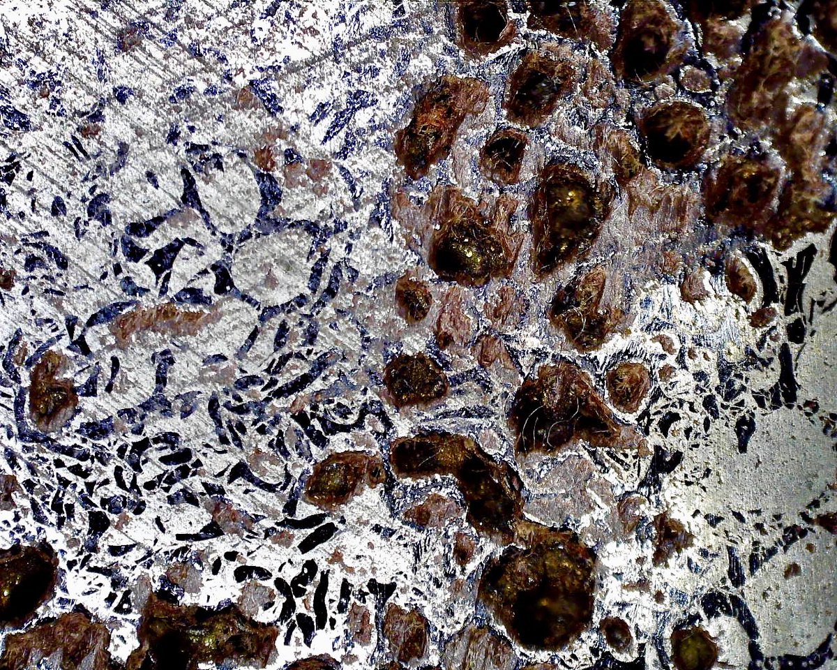 dr_dappleton's tweet photo. My final contribution to #FossilFriday tonight is this single #fossilphoto I took of a #pyritized slice of #plesiosaur #bone seen under a #celestrondigitalmicroscope #fossil #fossils #paleontology #macrophotography #photography #NaturePhotography #PhotoOfTheDay #anatomy #extinct https://t.co/dYlNp00hpf