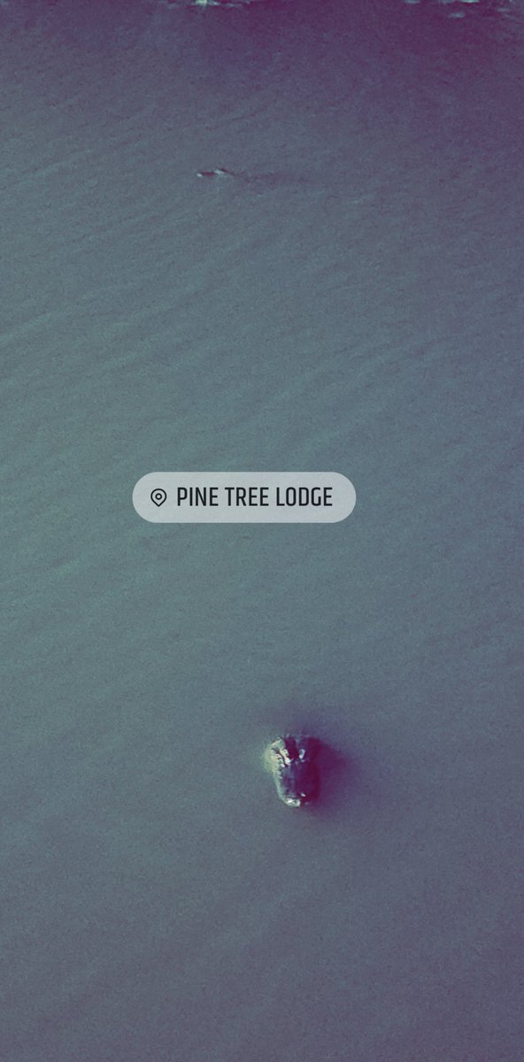 blakehopper's tweet image. Vibin in SETX @GatorsDaily