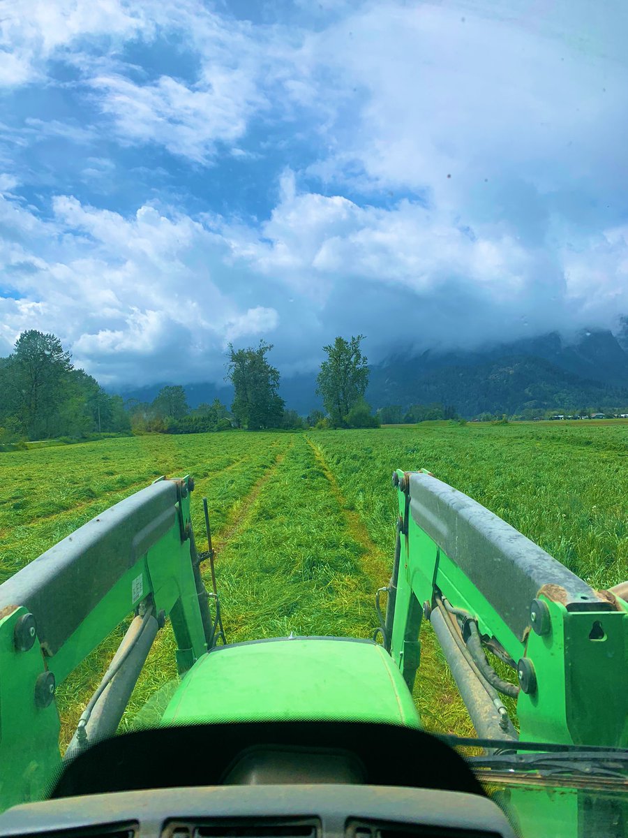 Been a pretty cold spring but we finally are hammering out first cut. She’s THICK and probably gonna grenade some equipment! But it’s a risk we are willing to take. #drowningingrass