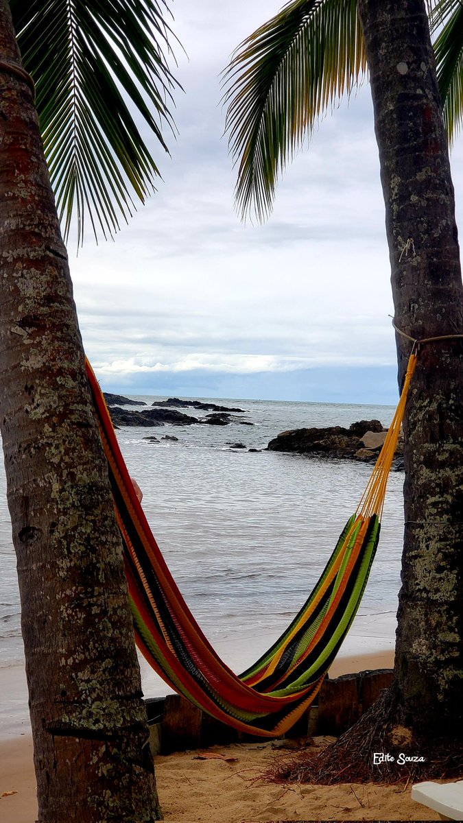 Edite_stylist21's tweet photo. Eu só quero o mar e uma rede para descansar.
#itacareba #praiadaconcha https://t.co/HGrYKMMjAN