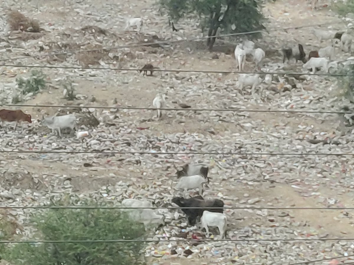 raisk07's tweet photo. @MCManesar @cmohry @mlkhattar @hsiidc @PMOIndia Still awaiting for action. Some new images to apprise authorities of conditions behind a society where approx 500 families are living @AmitShahOffice @cmohry @hsiidc @mdhsiidc @CommissionerMCG @CommissionerMCG @MCManesar https://t.co/UXah0PPfgd