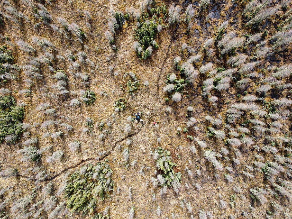 jasperkoch4's tweet photo. Third day in the field. Still no booters… https://t.co/72ehRIqPsI