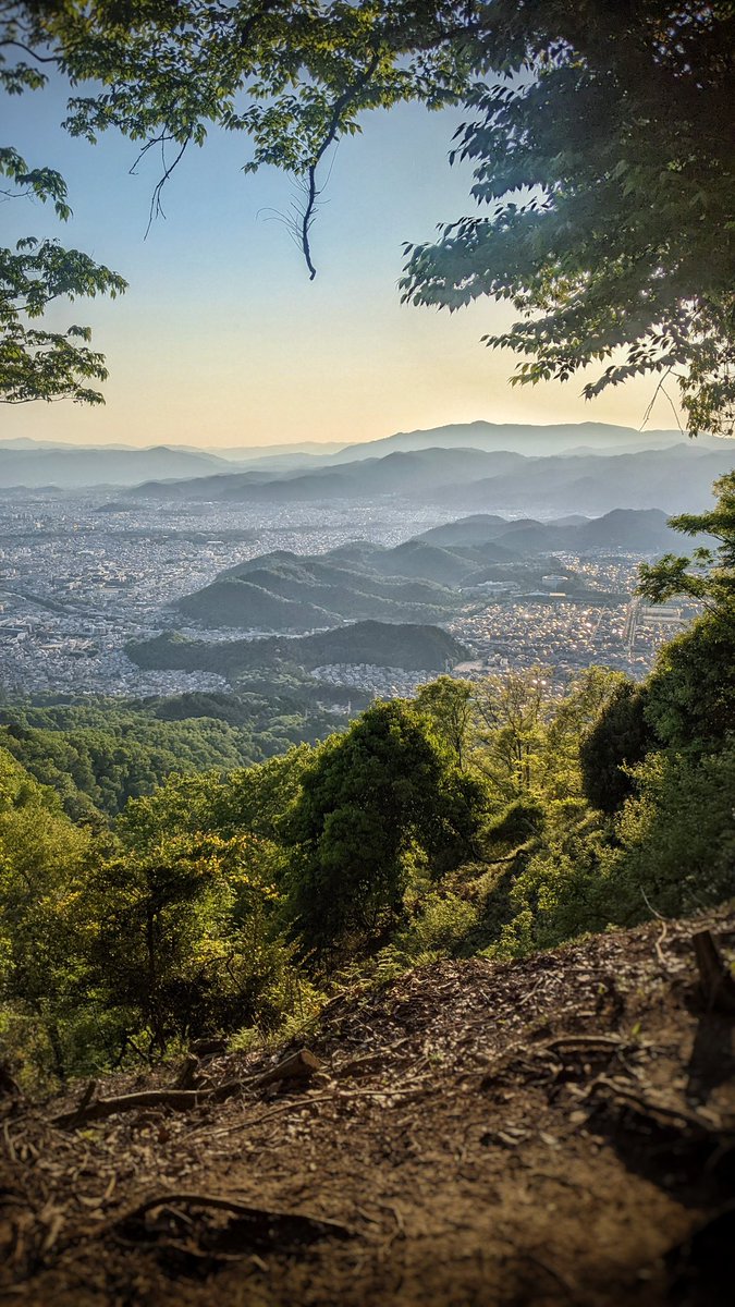 aliguerball's tweet photo. Bamboo grove, wild wisterias, azaleas,and the view of Kyoto
#japan #kyoto #travelphotography https://t.co/qCf5iILCq3