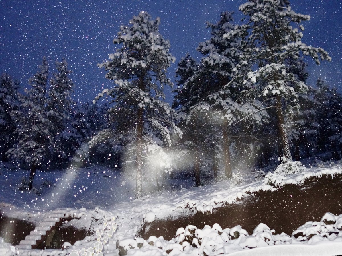 A cold and snowy night in Colorado 🌙 
#Colorado #cowx #snow