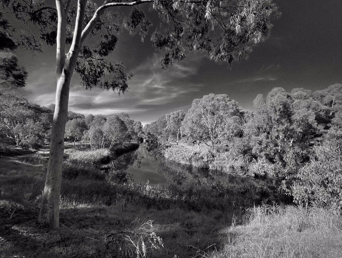 angusmeek's tweet photo. River Torrens, #Adelaide, #SouthAustralia https://t.co/9RK9rNJhbE