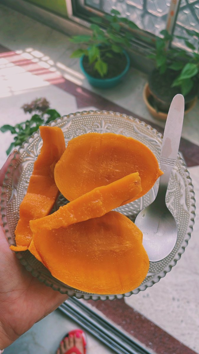 For breakfast, lunch, dinner and everything in between…
#mangoes #summer #kingoffruits