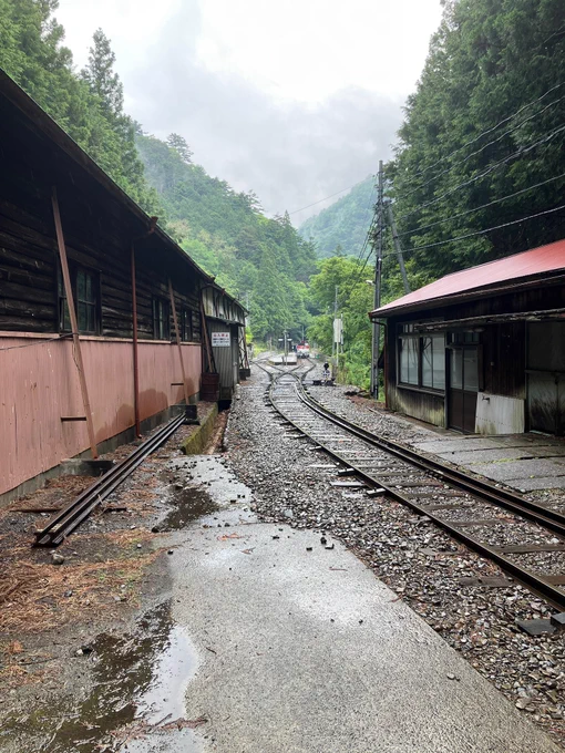 大井川鐵道井川線で、閑蔵駅から井川駅の間のトンネル内での出来事でした。
因みにこの電車めちゃくちゃ古くてそれだけでも楽しいです。運転手さんにお断りして写真撮らせて貰ったのですが、エンジン部とか運転席凄くないですか? 