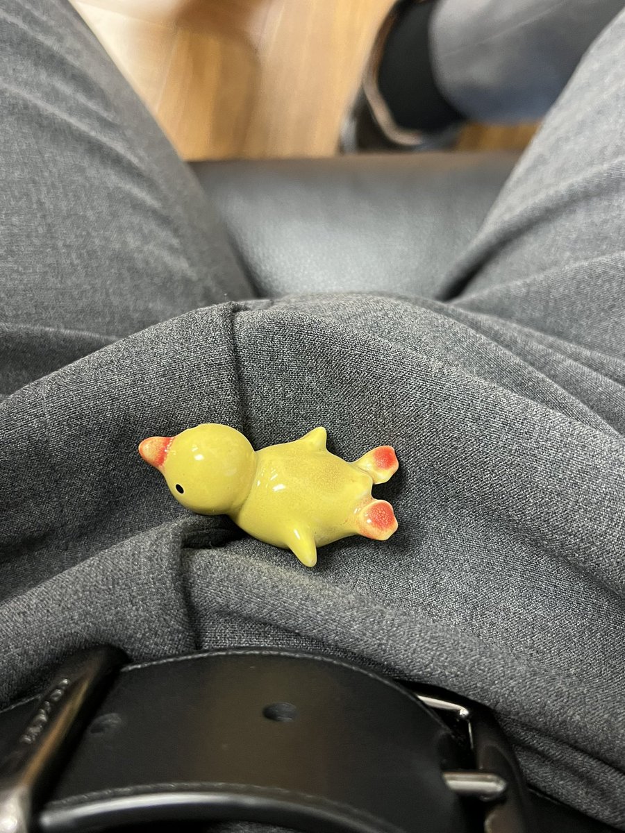 单纯的小鸭鸭只想在我裆里遨游而已