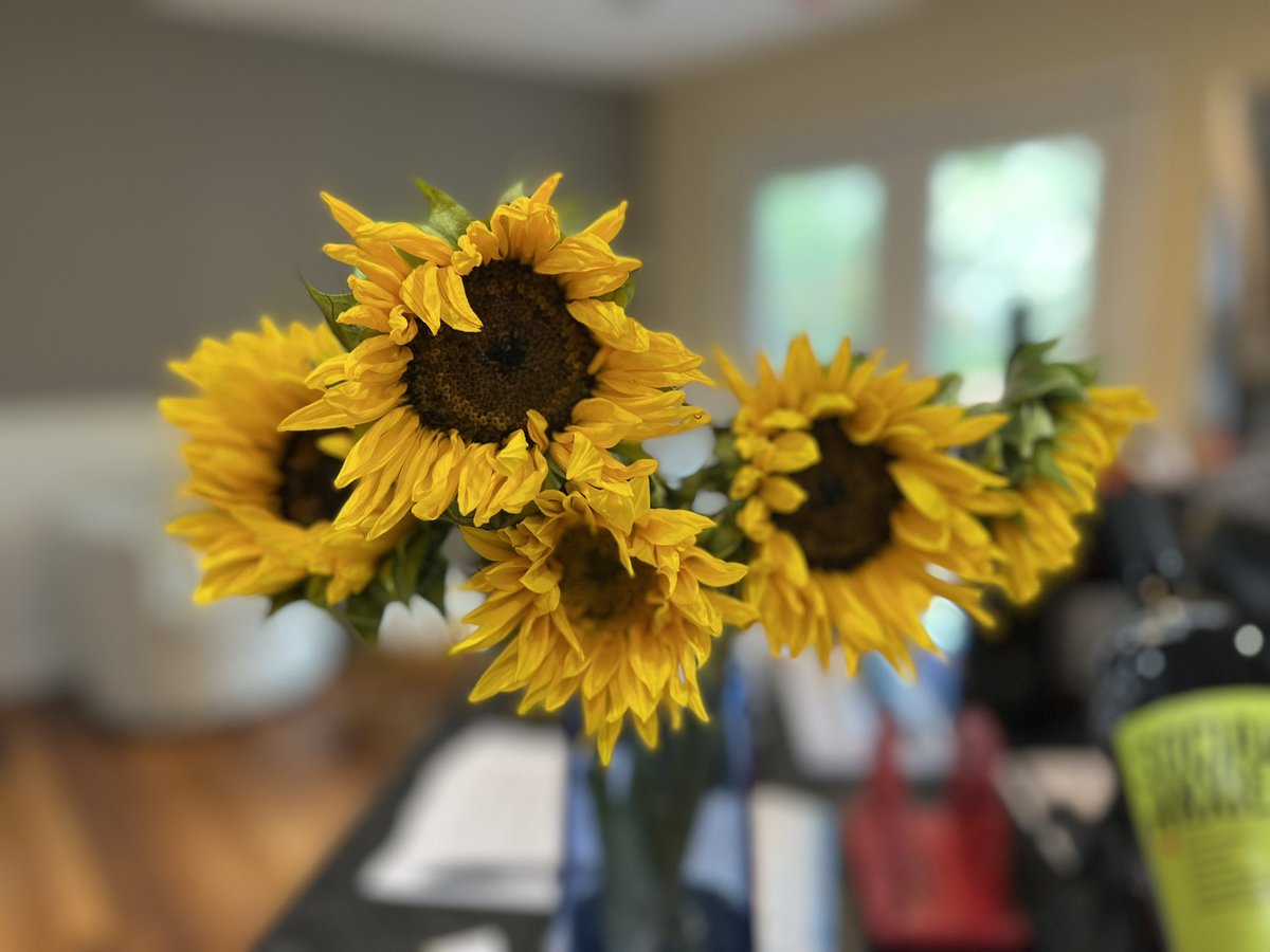 Heidi Williams 👋🏼 tweet media