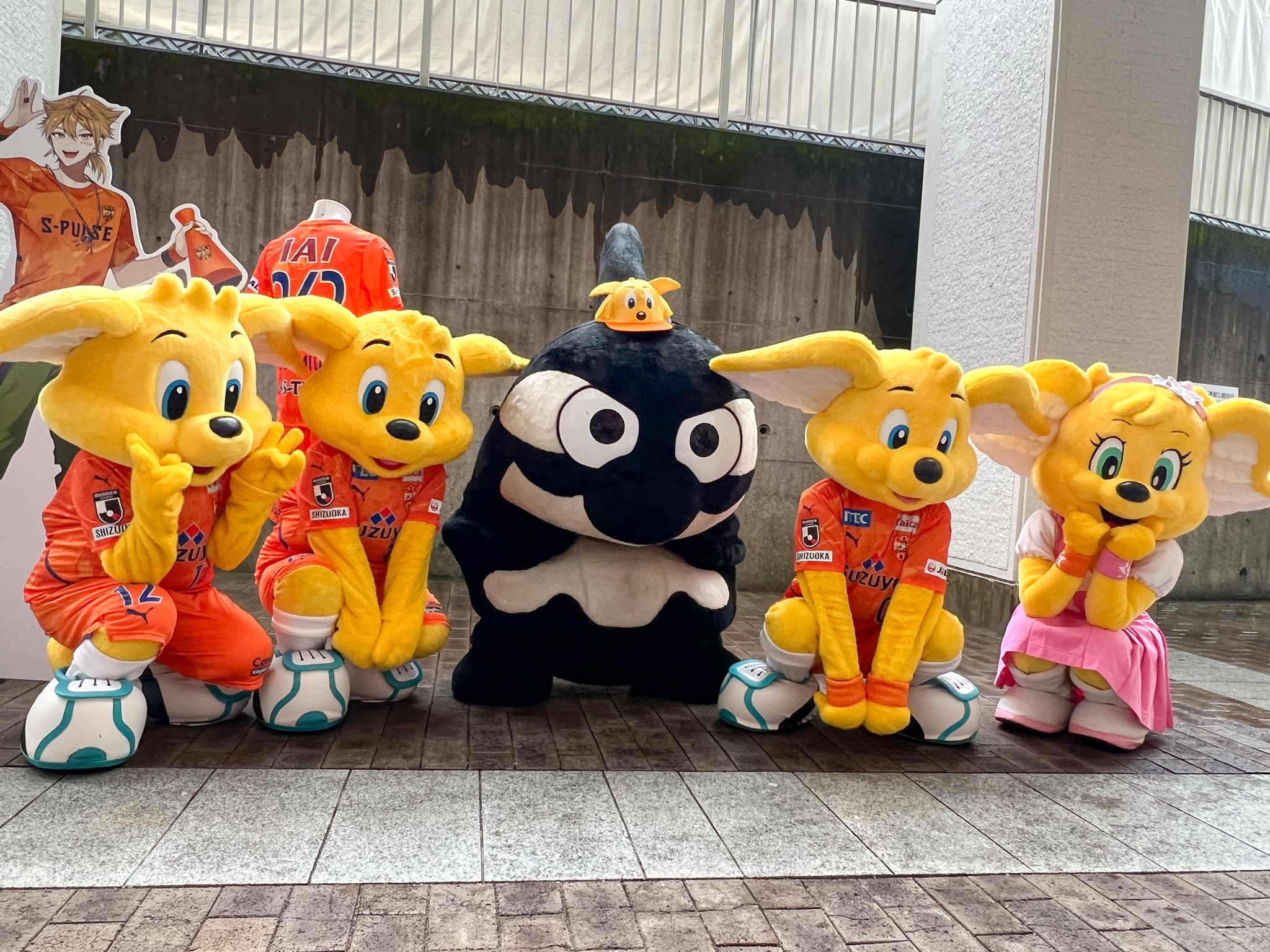 まろっち時々オレンジ猫 в X: „この可愛い子達みて!! 師匠の可愛