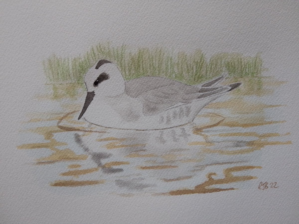 Russell Boland tweet media