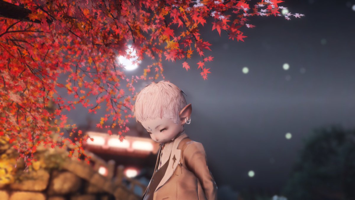 Poiisonfire's tweet photo. #ff14ss写真部 #ffxivgpose #ff14 #gpose #finalfantasyxiv #おはララ #ララフェル  #GPOSERS 5+ https://t.co/XfT4OK9s73