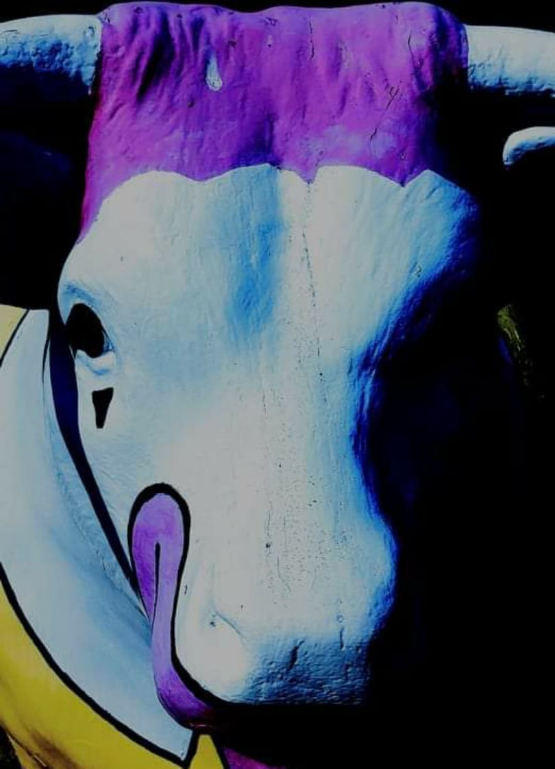 ULTAMITE226's tweet image. The Mccow is not Mcpleased